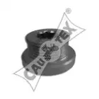 cautex-020956