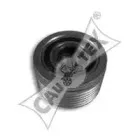 cautex-030954
