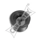 cautex-210903