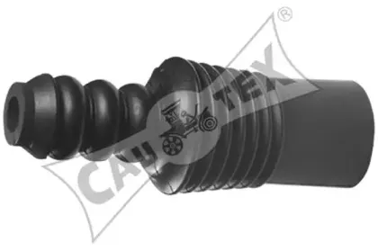 cautex-021307