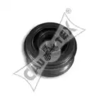 cautex-460975