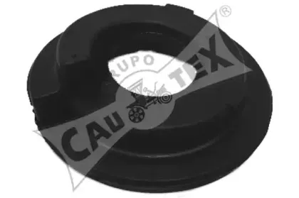 cautex-021317