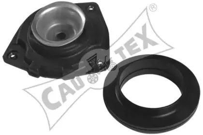 cautex-021321
