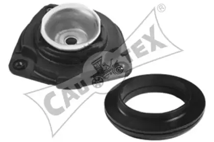 cautex-021322