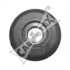 cautex-080158
