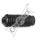 cautex-080184