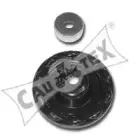 cautex-480541