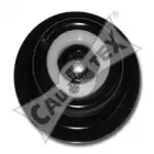 cautex-480547