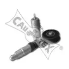 cautex-461351