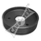 cautex-020908