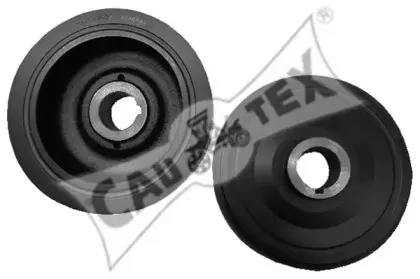 cautex-030909
