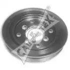 cautex-080920