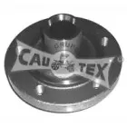 cautex-461003
