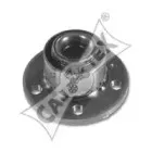 cautex-461025