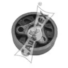 cautex-180013