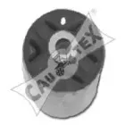 cautex-061012