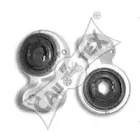 cautex-200543