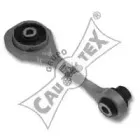 cautex-020519