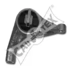cautex-080120