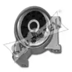 cautex-080194