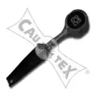cautex-461256