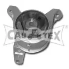 cautex-480491