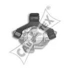 cautex-462407