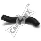 cautex-466029