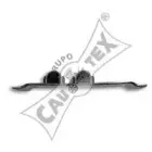 cautex-020505