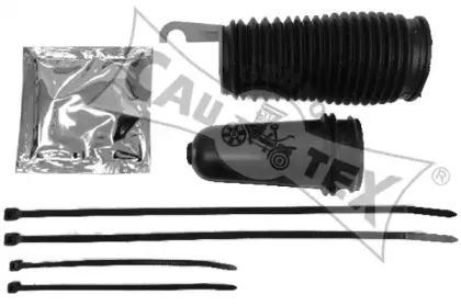 cautex-030611
