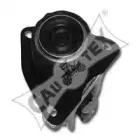 cautex-020907