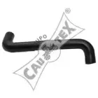 cautex-246409