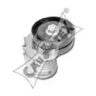 cautex-460987