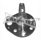 cautex-461007