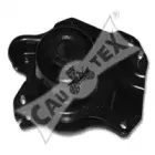 cautex-461038