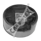 cautex-461045