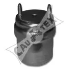 cautex-461037