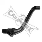 cautex-461060