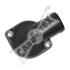 cautex-461075