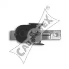 cautex-462403