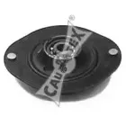cautex-480104