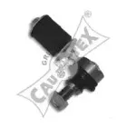 cautex-480137