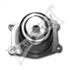 cautex-480485