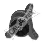 cautex-480488