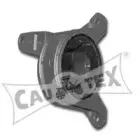 cautex-480489