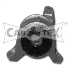 cautex-480490