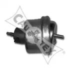 cautex-480493