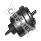 cautex-480495