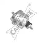 cautex-480496