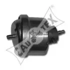 cautex-480497